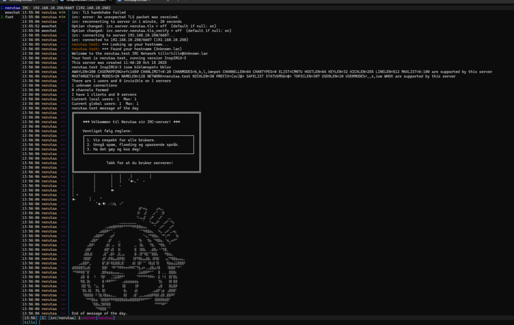 weechat connect 1