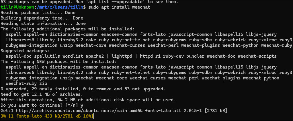 wsl 3